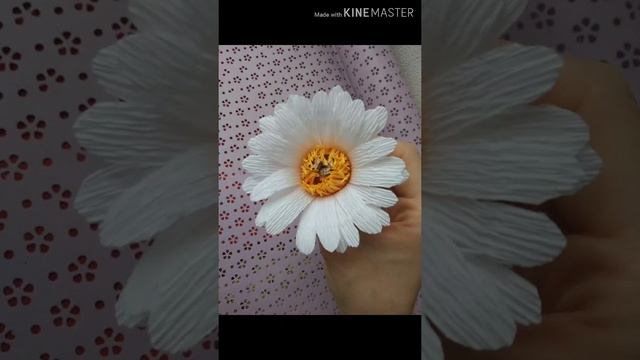 Делаю ромашки из гофрированной бумаги (chamomile) смотреть онлайн