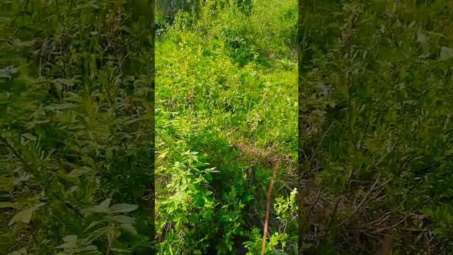 УАЗ встали на задке! смотреть онлайн