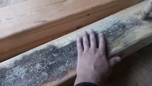 И все таки джут гниёт.