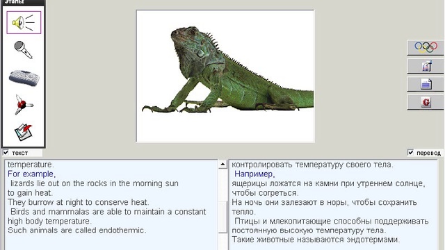 122. Научные тексты. Temperature Regulation смотреть онлайн
