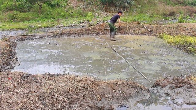 Building A New Life Episode 18 | Farming And Sowing Wet Rice, Step By Step Perfecting The Large Far