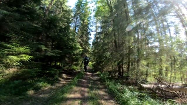 Велопокатушка. Заказник "Пижемский". Советский район. Кировская область смотреть онлайн