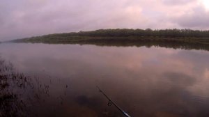 Куча Окуня на Отводной Поводок! Окунь и Судак на Отводной Поводок. Ловля на Отводной Поводок.