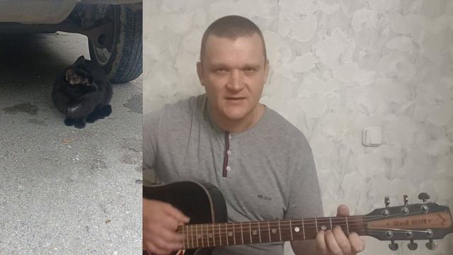 Кавер на песню Черный кот группы "Браво" смотреть онлайн