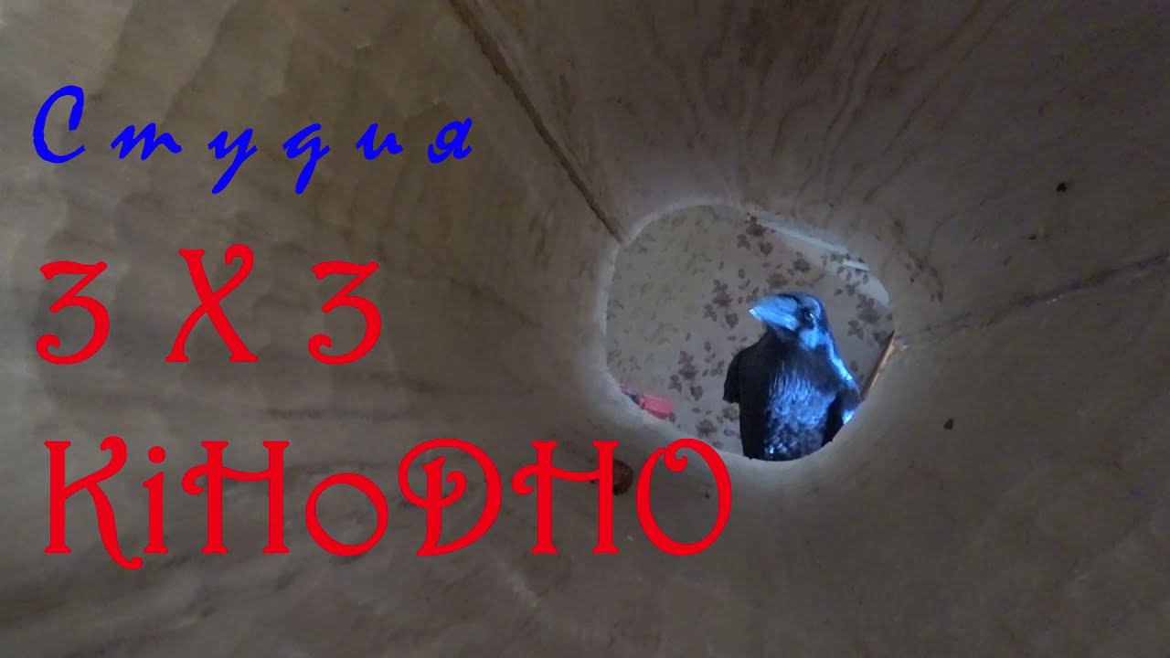 Утро, весна, равновесье и вОроны. смотреть онлайн