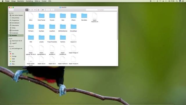 How to install Tukan Studios Plugins in Reaper смотреть онлайн