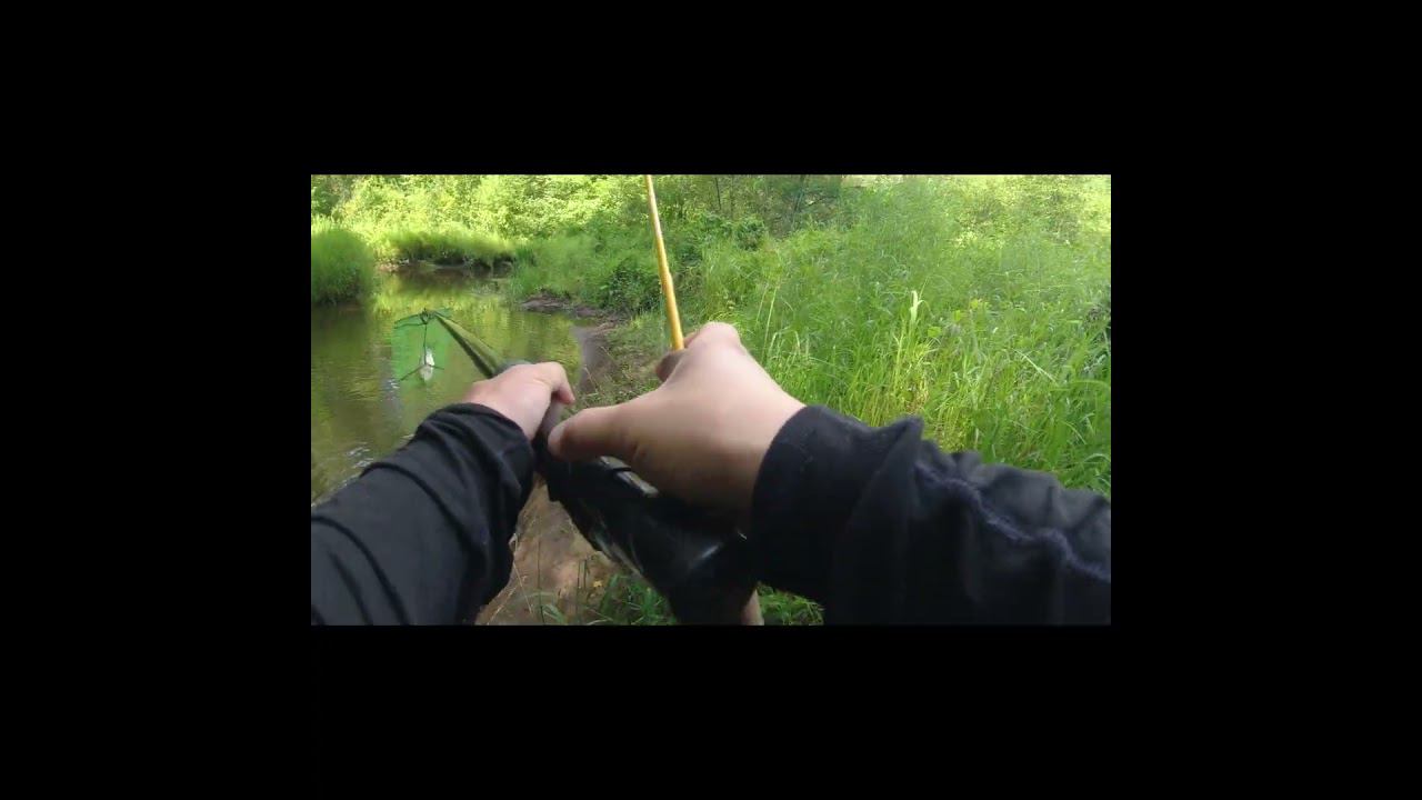 #shorts Язь смотреть онлайн