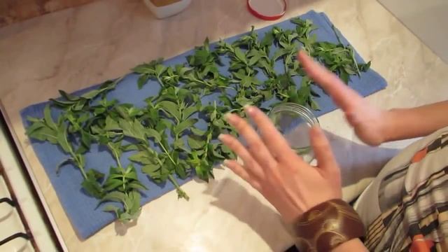 Дизайн Одежды