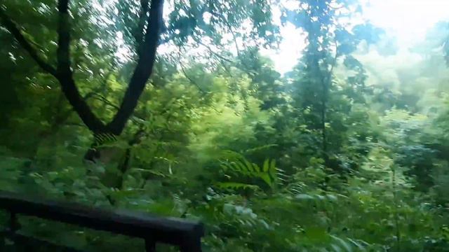 |138| РОССИЯ, МОСКВА Р-Н КОТЛОВКА смотреть онлайн