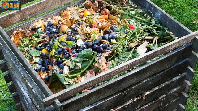 Как не превратить компост в отраву? смотреть онлайн