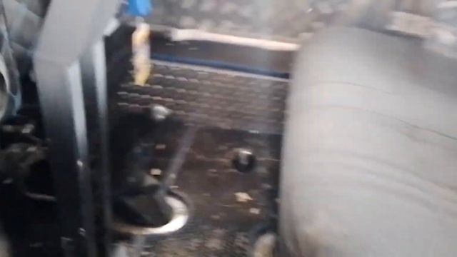 Кто куда а мы сегодня в лес 🌲 смотреть онлайн