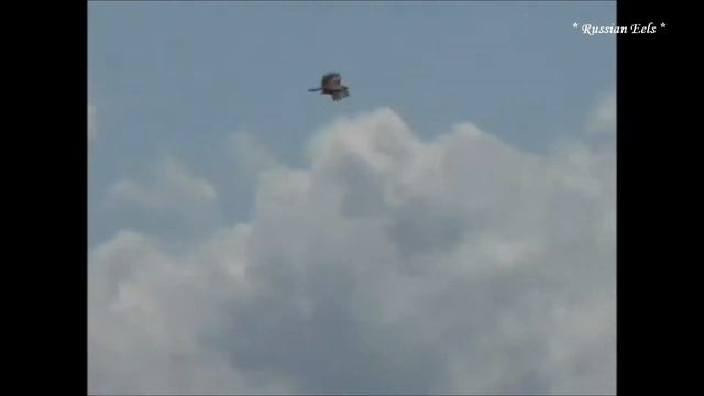 "Магические сны" смотреть онлайн