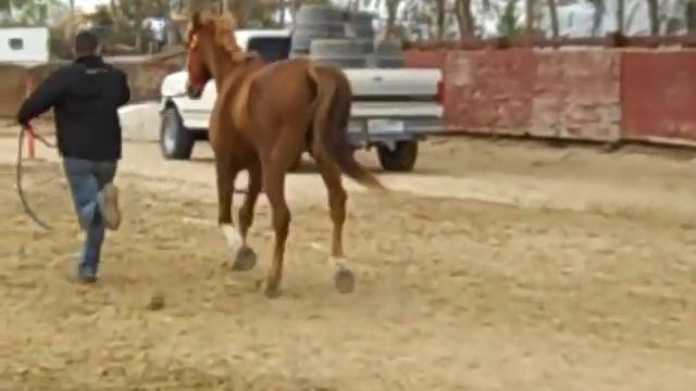 Smitty's Git-R-Done BC Win смотреть онлайн