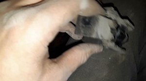 Замена втулок стабилизатора Nissan Qashqai(DUALIS) от Nissan Juke