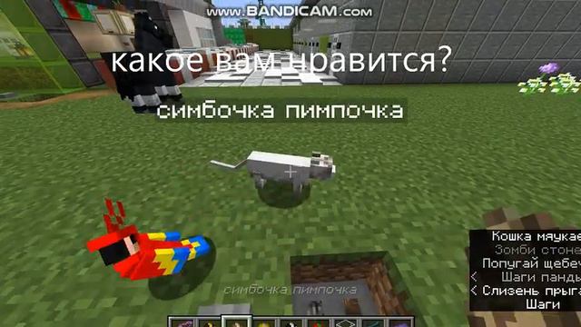 какое животное вам больше нравится смотреть онлайн