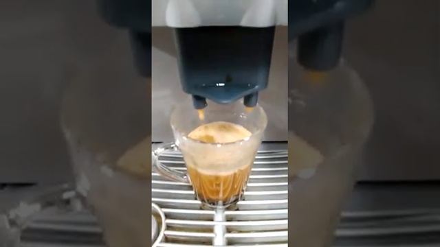 Máquina Café Expresso Saeco Royal Office смотреть онлайн