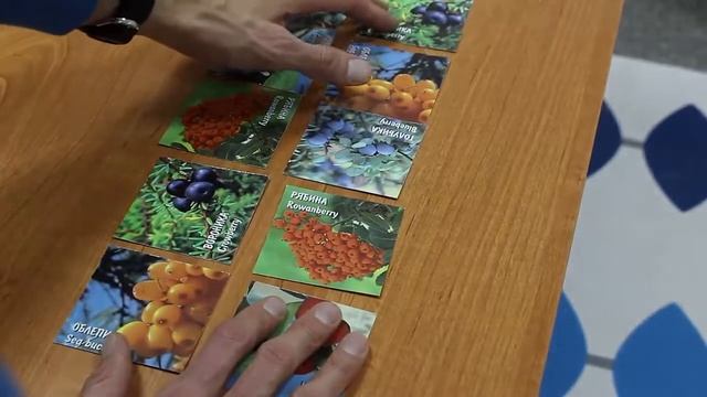 Фитнес мозга. Техника Интуиция смотреть онлайн