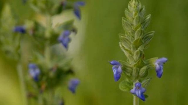 Стройка Ремонтка