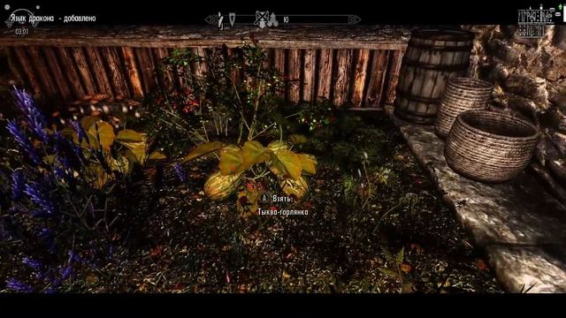 Прохождение TES V: Skyrim - Legendary Edition — #111: Я живой смотреть онлайн