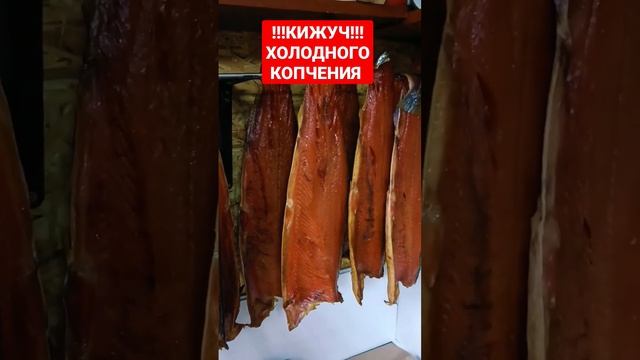 КИЖУЧ ХОЛОДНО КОПЧЕНИЯ, МОЕ ХОББИ!!! смотреть онлайн