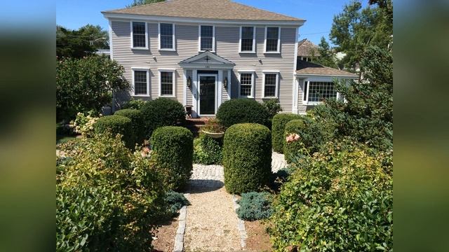 Озеленение дачного участка смотреть онлайн