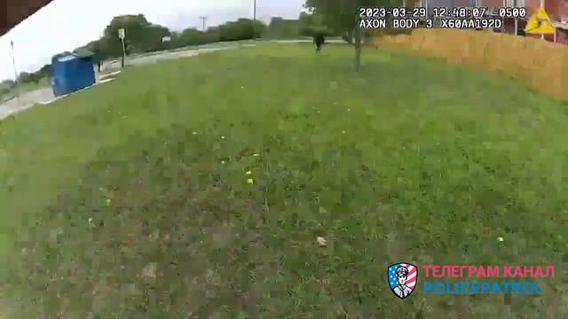 Перестрелка в парке / Применение оружия полицией смотреть онлайн