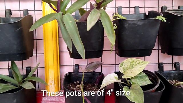 घर के कबाड़ से बनाए सुन्दर👌 vertical garden 🪴🌱/very low cost 😍 смотреть онлайн