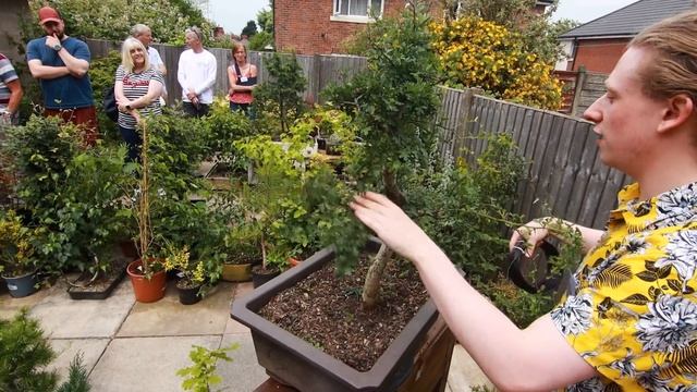A Trip To Tony's Bonsai Extravaganza! смотреть онлайн