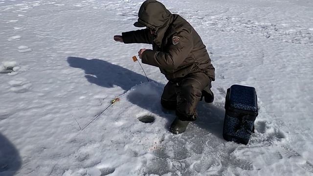 Рыбалка! Белоярское водохранилище, Черемшана. На безнасадку. смотреть онлайн