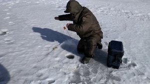 Рыбалка! Белоярское водохранилище, Черемшана. На безнасадку.
