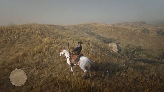 Red Dead Redemption Online Chestnut Tovero Mustang смотреть онлайн