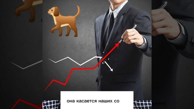 Стратегии БКГ. Какие продукты бизнеса самые эффективные? Как получить максимальную прибыль