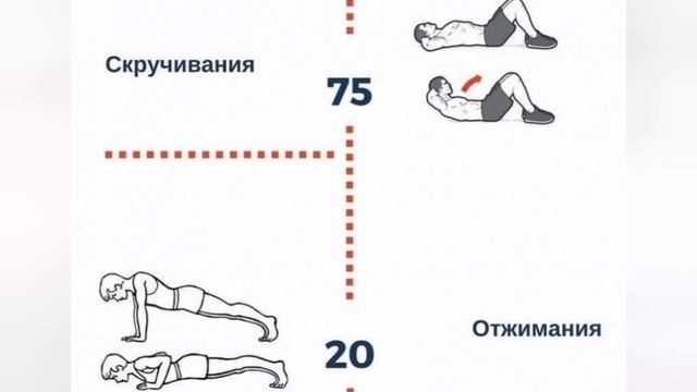 Комплекс упражнений ОФП для учащихся с различным уровнем физической подготовки смотреть онлайн