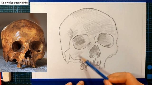 CURSO INTERMEDIO DE DIBUJO, Clase 2, CALAVERA, how to draw a SKULL смотреть онлайн
