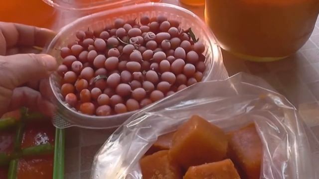 Масло облепихи. Свойства и применение . смотреть онлайн