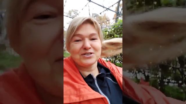 Маска для волос до и после смотреть онлайн