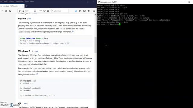 Leap Day Bug смотреть онлайн
