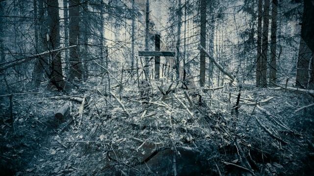 Владимир Высоцкий ( Что за дом притих , погружен во мрак ) смотреть онлайн