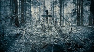 Владимир Высоцкий ( Что за дом притих , погружен во мрак )