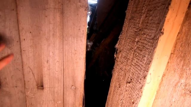 Старинная умирающая деревня в глуши Кировской области. Покинутый мир Вятки. смотреть онлайн