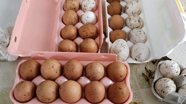 Дача в марте 2022 г/растаяла дорога к даче/курочки нас радуют/где весна?/ работа в курятнике часть смотреть онлайн