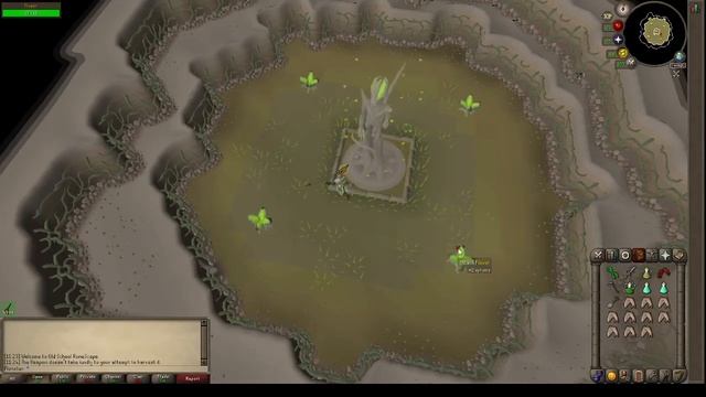 Weed Whacker Hard Combat Achievement - OSRS смотреть онлайн