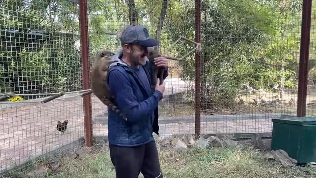 Обезьяна Люся с Владом и Татьяной Алексагиной играют в вольере! смотреть онлайн
