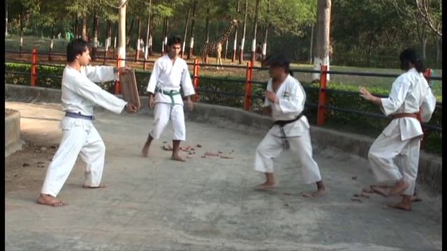 Shotokan Karate demonstration смотреть онлайн
