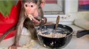 ТАК СМЕШНО! Люся нашла ЛЮБИМУЮ КАШУ и не может наесться!