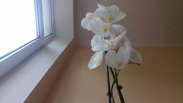 Орхидея смотреть онлайн