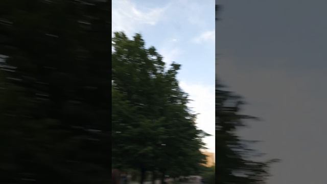 г . РОСТОВ -НА -ДОНУ , пр.КОММУНИСТИЧЕСКИЙ , " АЛЛЕЯ РОЗ " . 29 .05.23 г смотреть онлайн