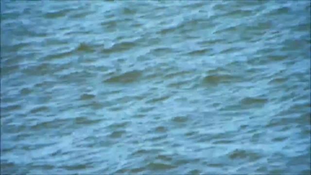 Câmera fujifilm finepix s8200 16mp teste 40x optical super zoom смотреть онлайн