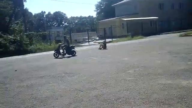 мопед валит смотреть онлайн