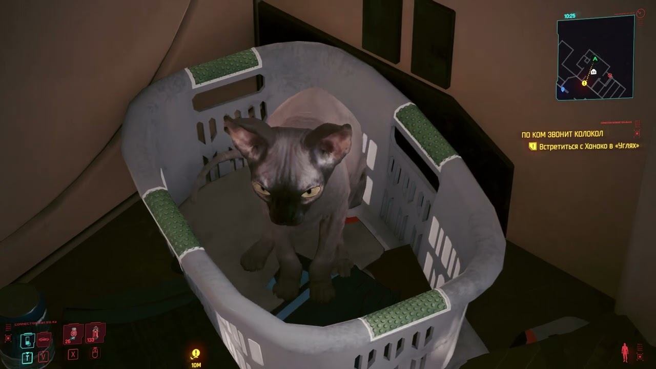 Кошка в Cyberpunk 2077